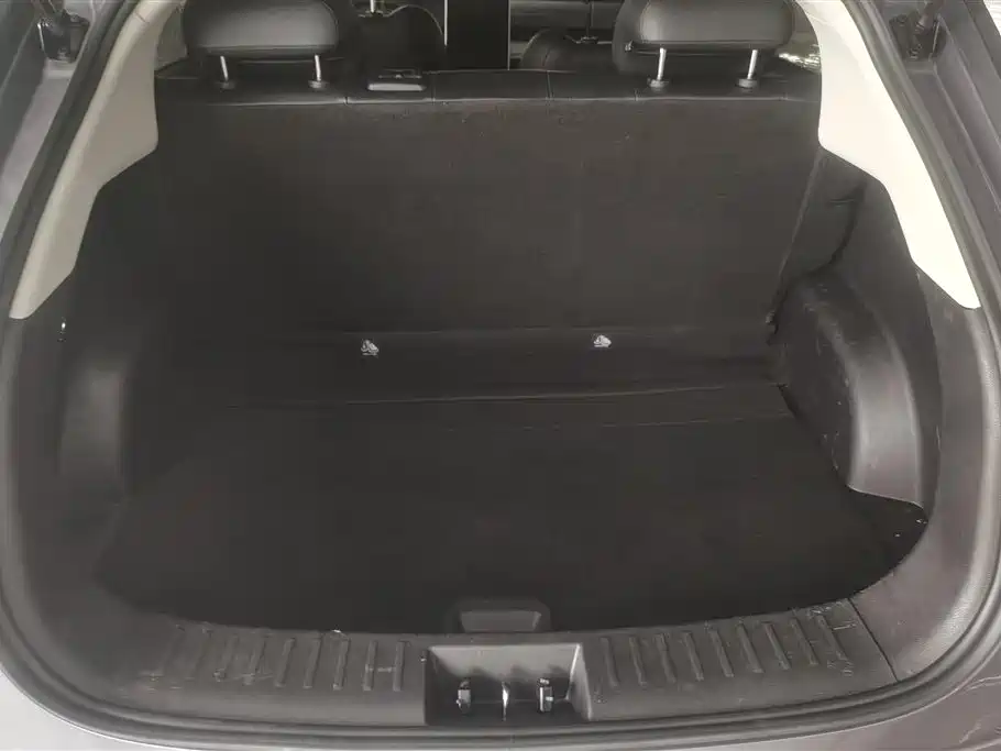 Neta V 2022
