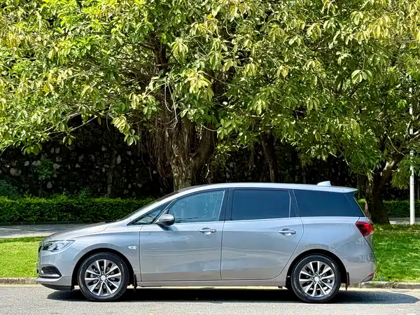 Buick GL6 2020