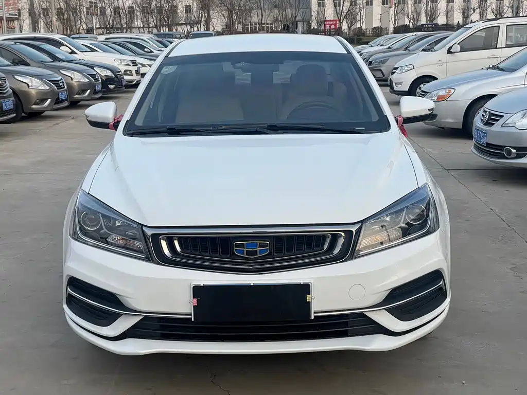 Geely Emgrand 2020 — фото 2