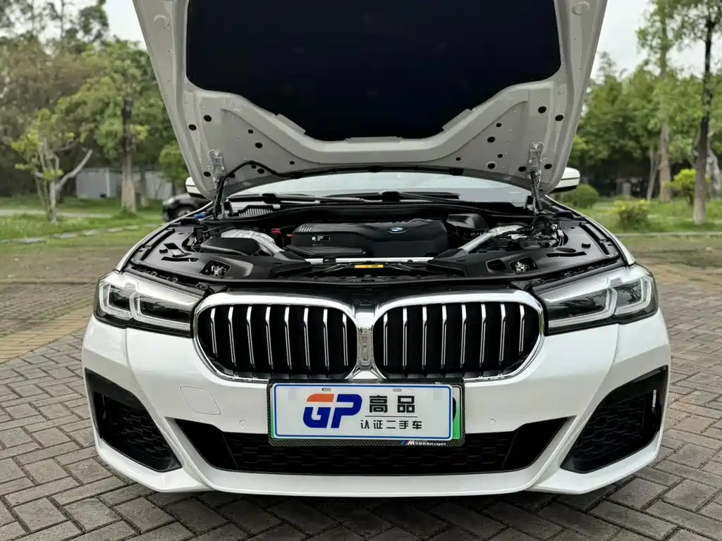 BMW 5 Series New Energy 2021 — фото 17