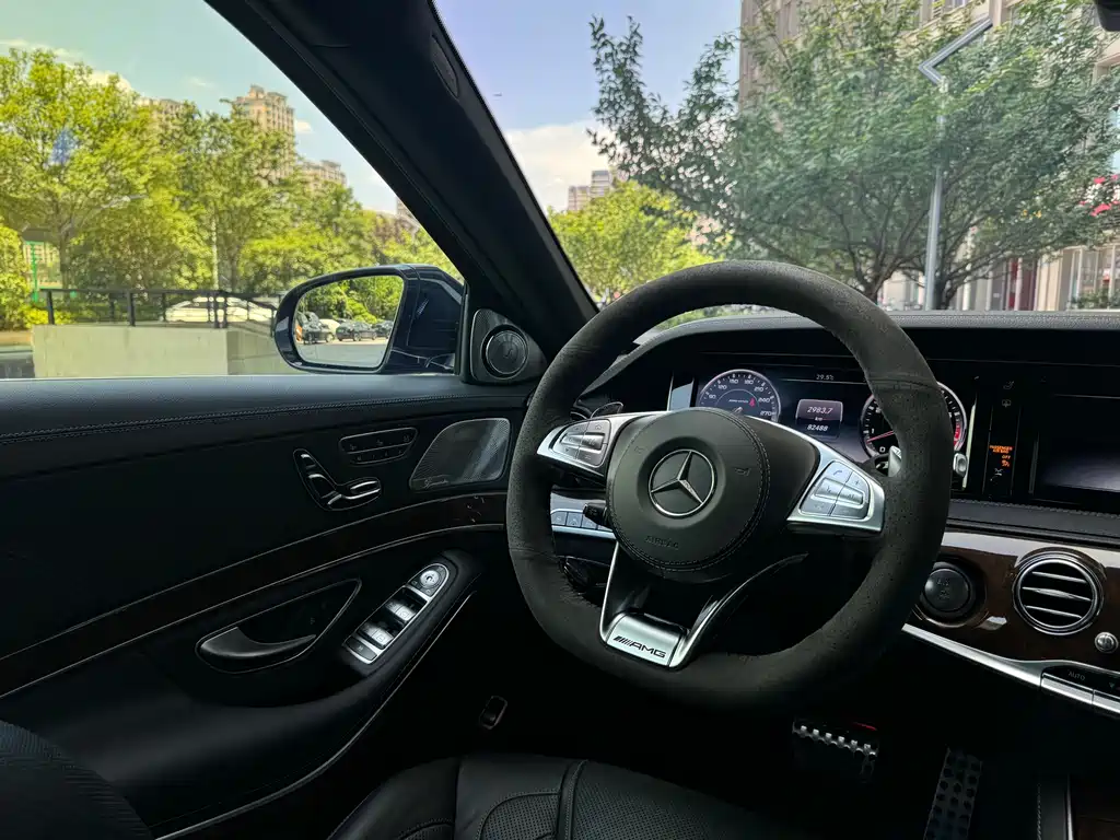Mercedes-Benz S-Class AMG 2018 — фото 26