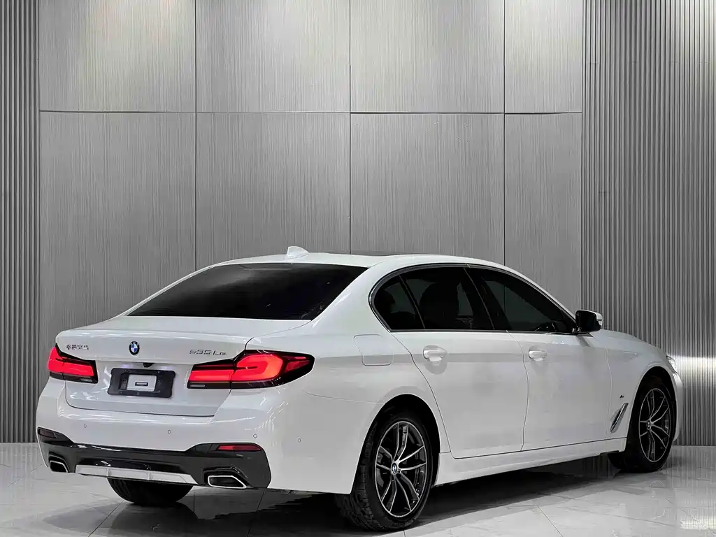BMW 5 Series New Energy 2021 — фото 9