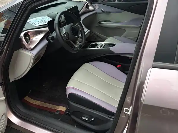 BYD Dolphin 2021