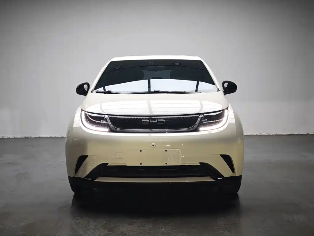 BYD Dolphin 2025
