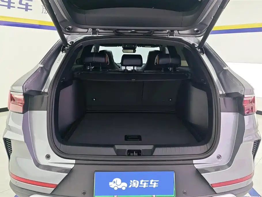 BYD PLUS New Energy 2023 — фото 4