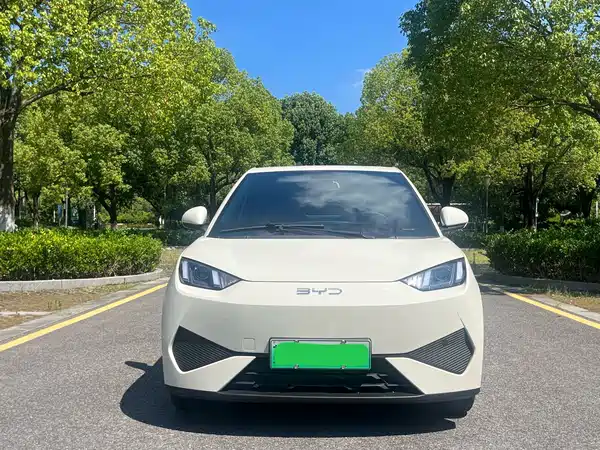BYD Seagull 2025