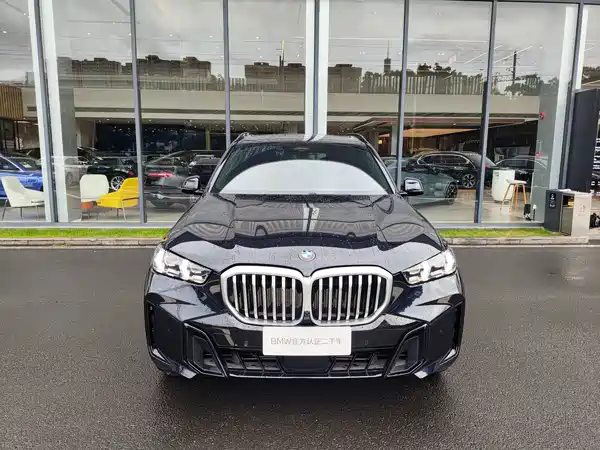 BMW X5 2025