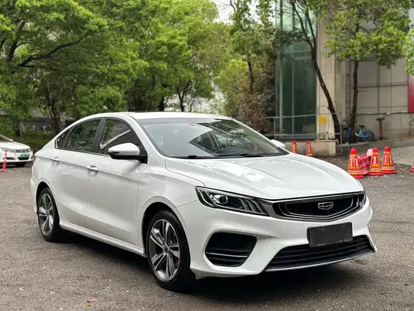 Geely Binrui 2019