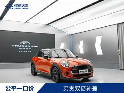 MINI MINI 2020