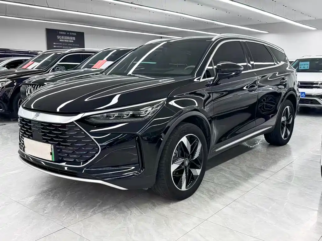 BYD Tang New Energy 2024 — фото 1