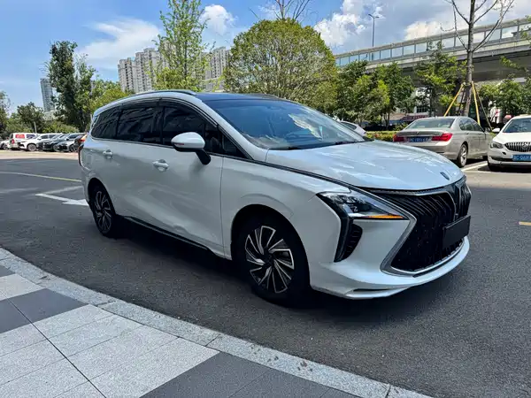 Dongfeng Popular Yacht 2023