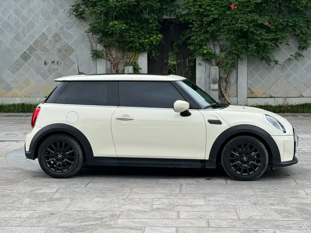 MINI MINI 2021