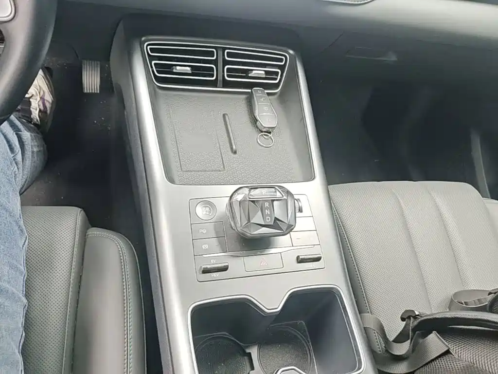 BYD Song Pro New Energy 2025 — фото 14