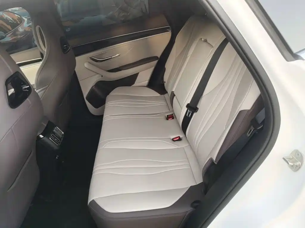 BYD Song PLUS New Energy 2025 — фото 17