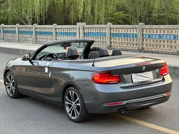 BMW 2 Series 2019