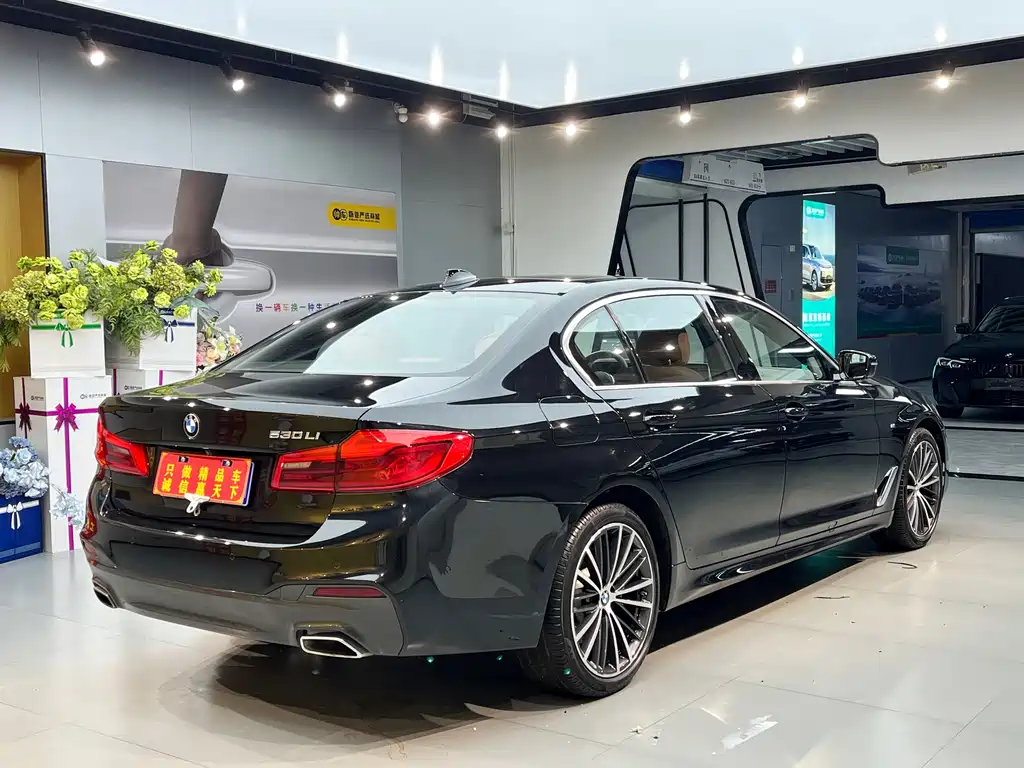 BMW 5 Series 2020 — фото 15