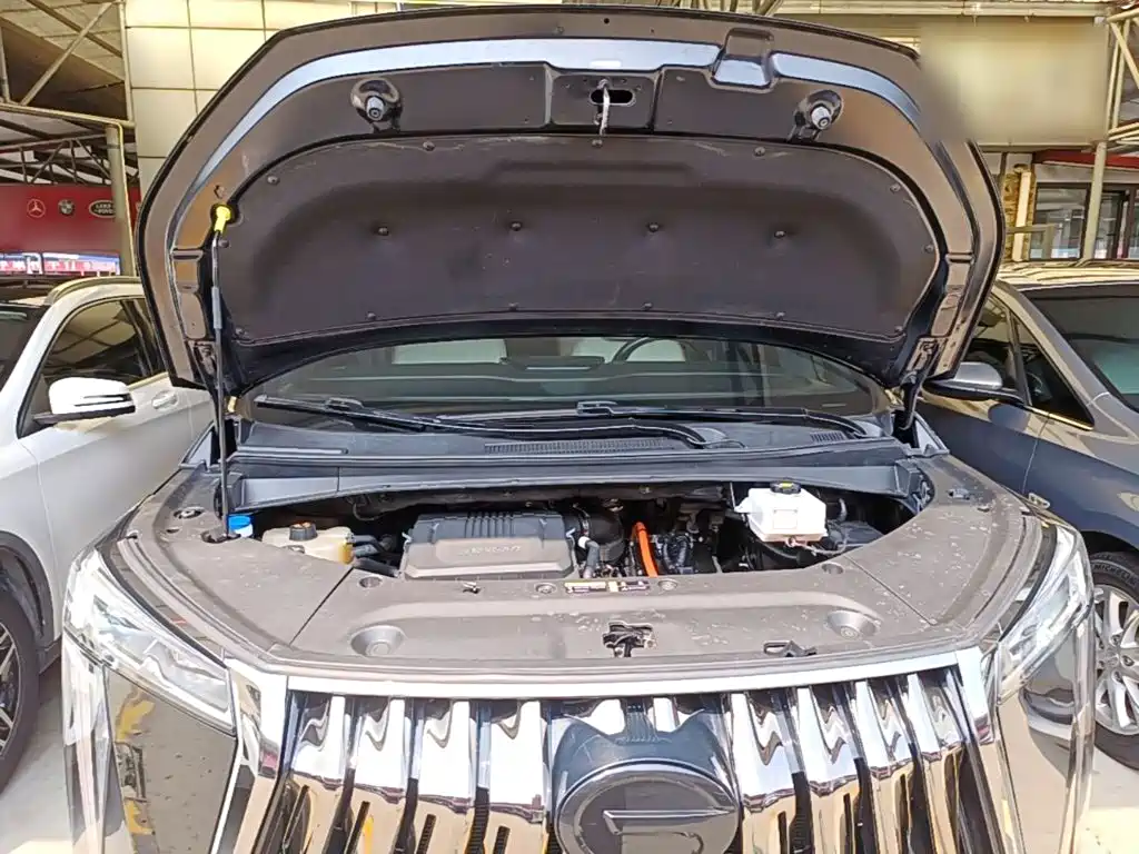 GAC Trumpchi M8 2023 — фото 20