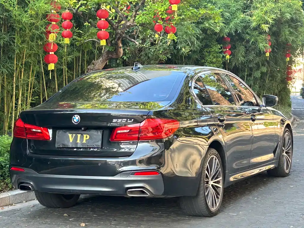 BMW 5 Series 2019