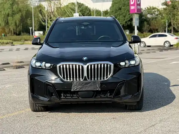 BMW X5 2024