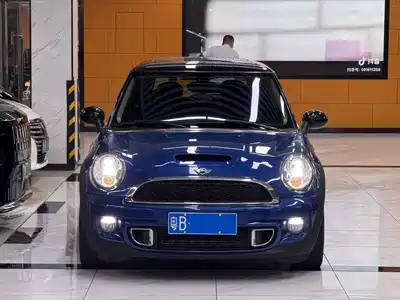MINI MINI 2013