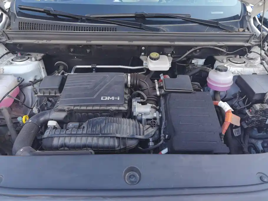 BYD Song Pro New Energy 2024 — фото 10