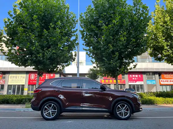 MG HS 2019