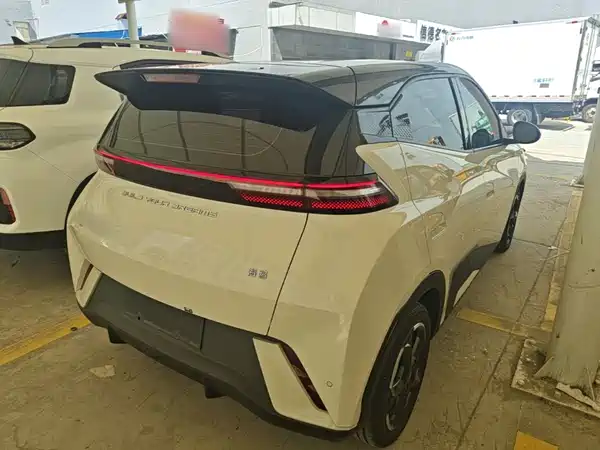 BYD Seagull 2024
