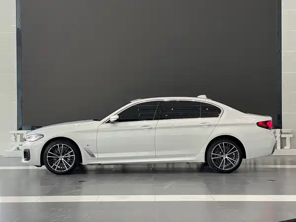 BMW 5 Series 2021