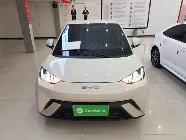 BYD Seagull 2024