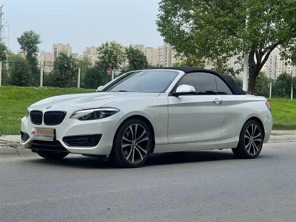 BMW 2 Series 2019