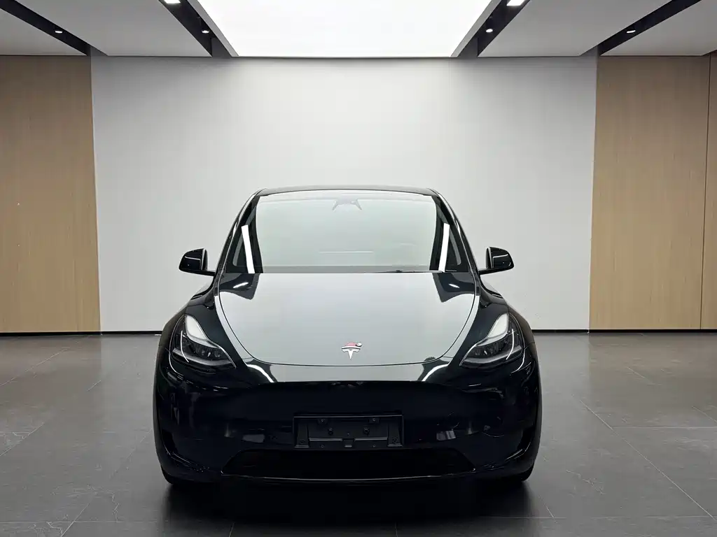 Tesla Model Y 2023 — фото 2