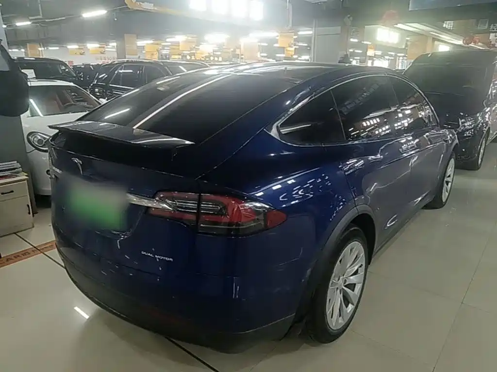 Tesla Model X 2020