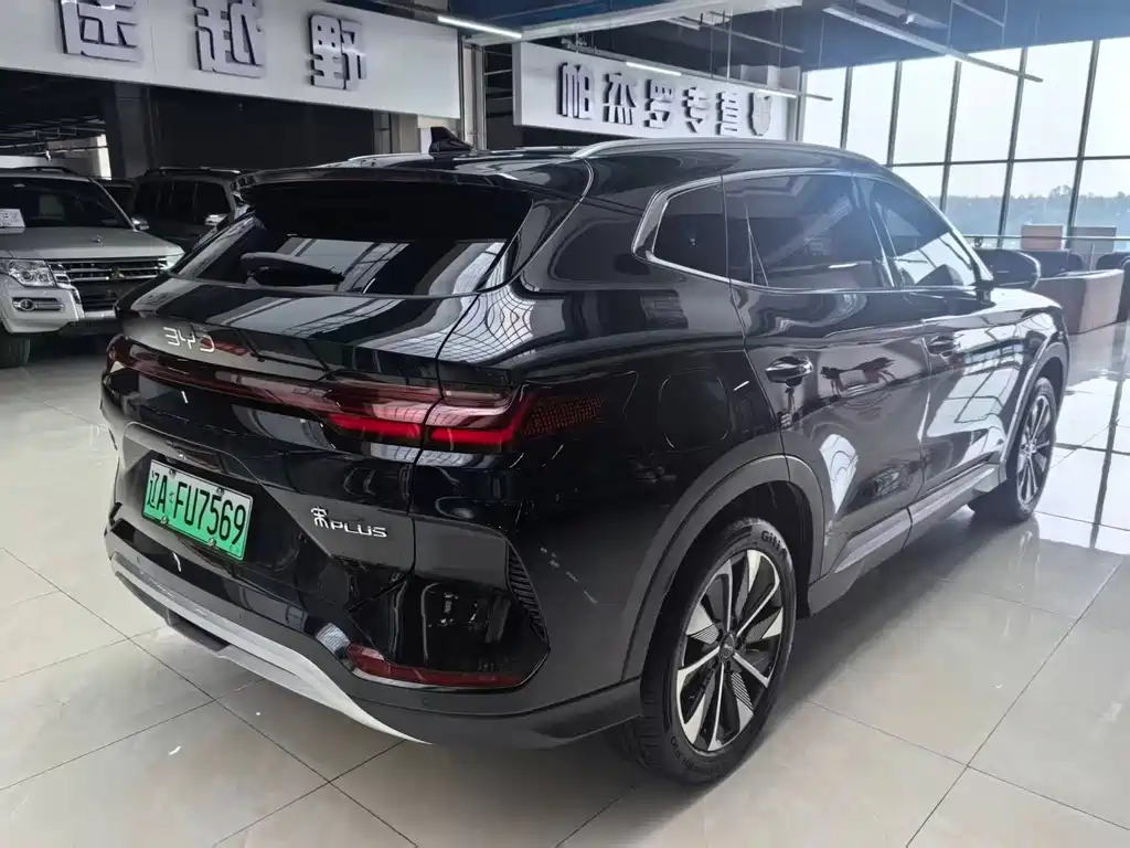 BYD Song PLUS New Energy 2024 — фото 4