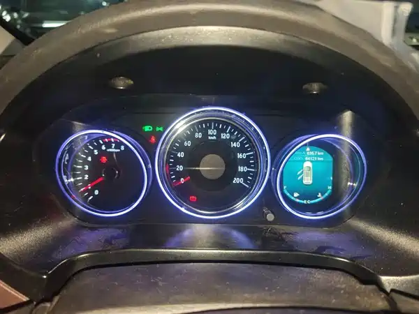 Bisu T5 2017