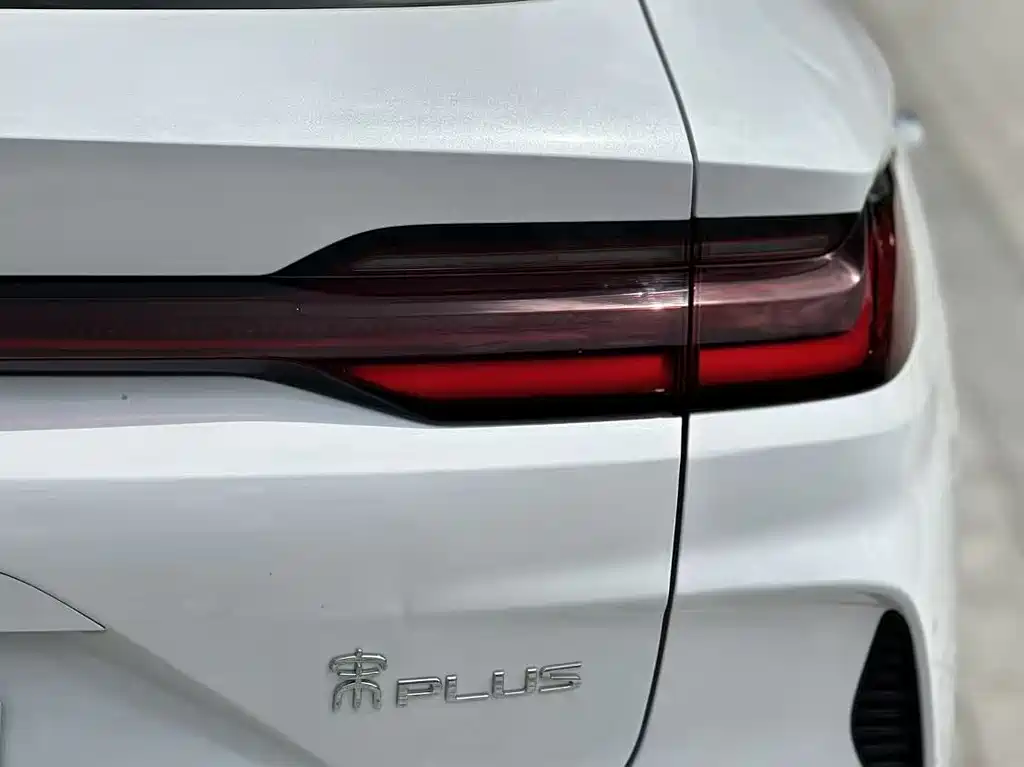 BYD PLUS New Energy 2024 — фото 13
