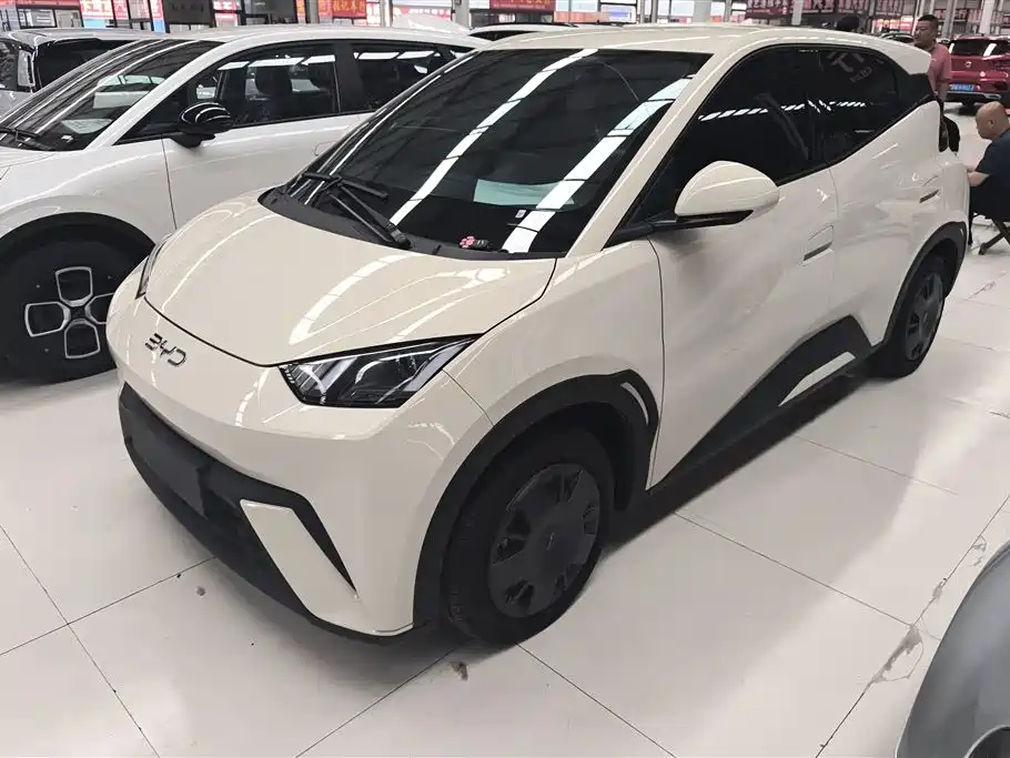 BYD Seagull 2025