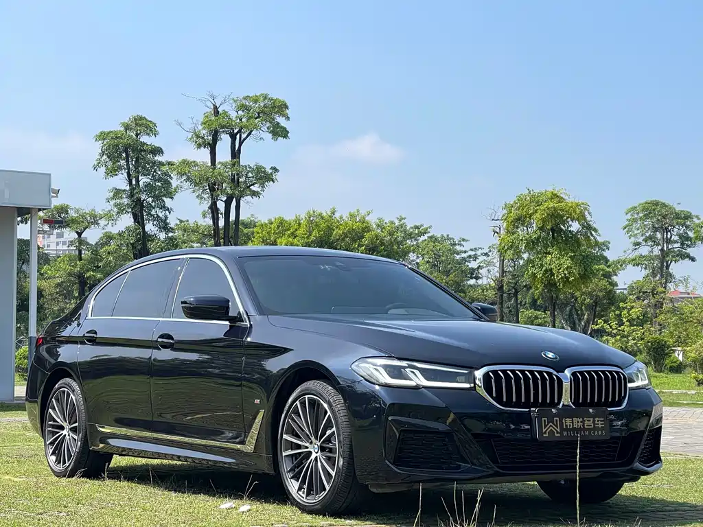 BMW 5 Series 2021