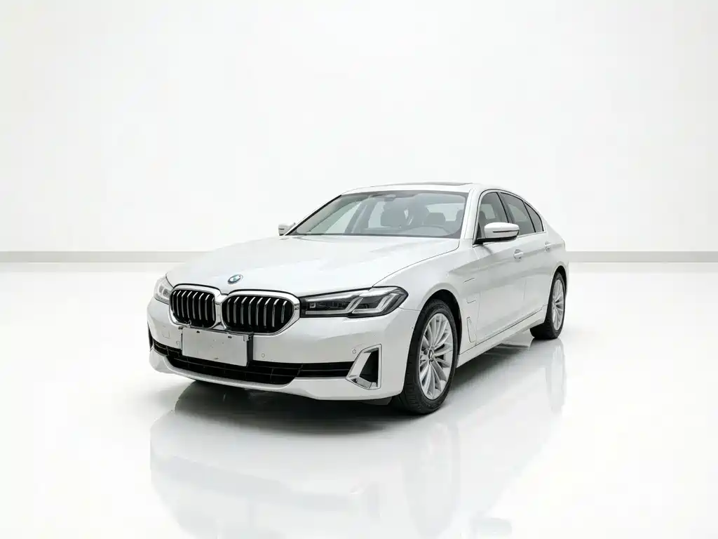 BMW 5 Series New Energy 2021 — фото 1