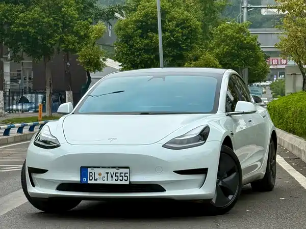 Tesla Model 3 2020