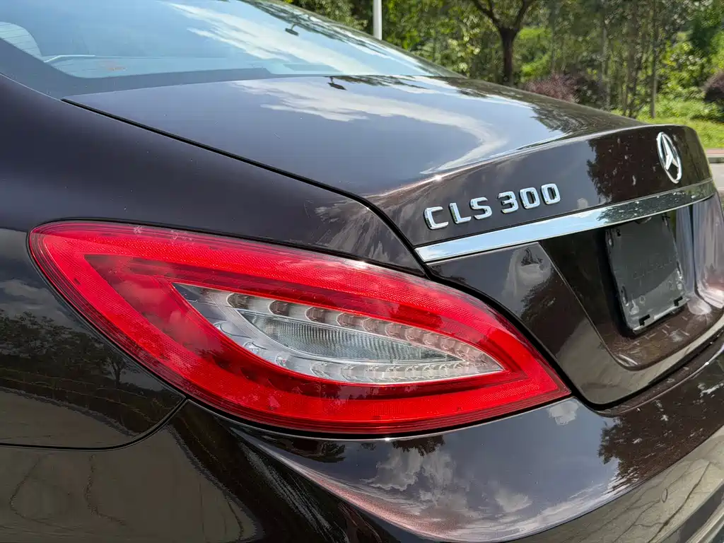 Mercedes-Benz CLS 2014 — фото 12