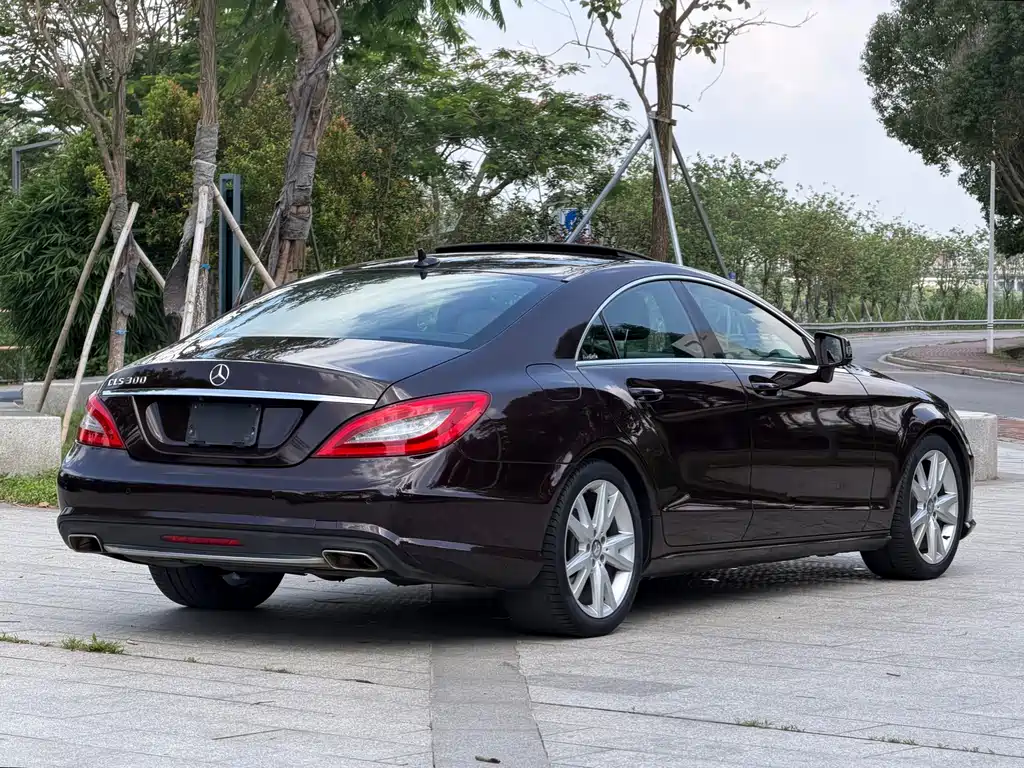 Mercedes-Benz CLS 2014 — фото 15