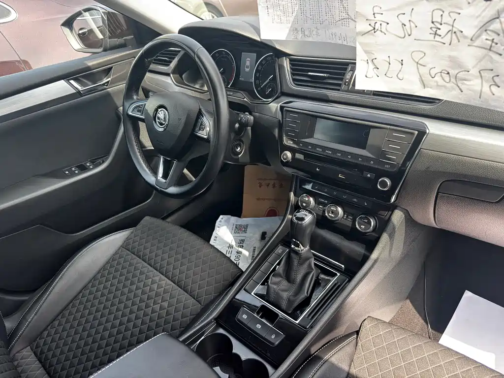 Skoda Speedy 2017
