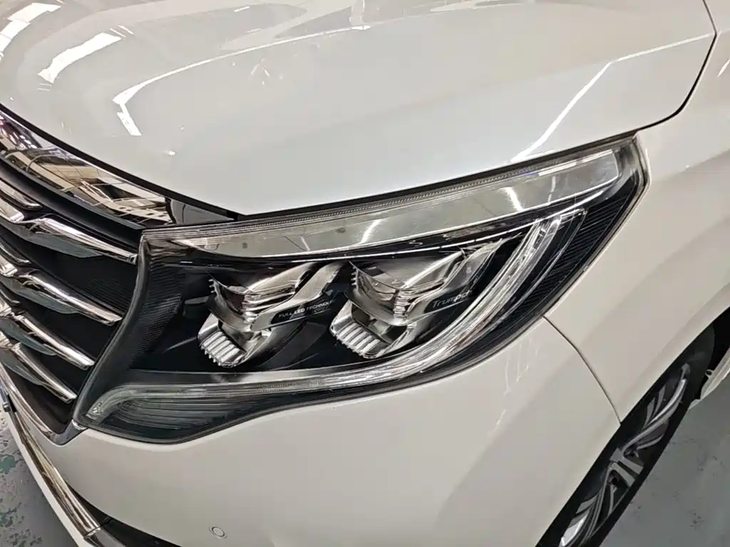 GAC Trumpchi M8 2019 — фото 24