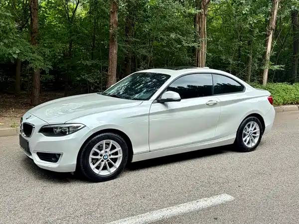 BMW 2 Series 2016