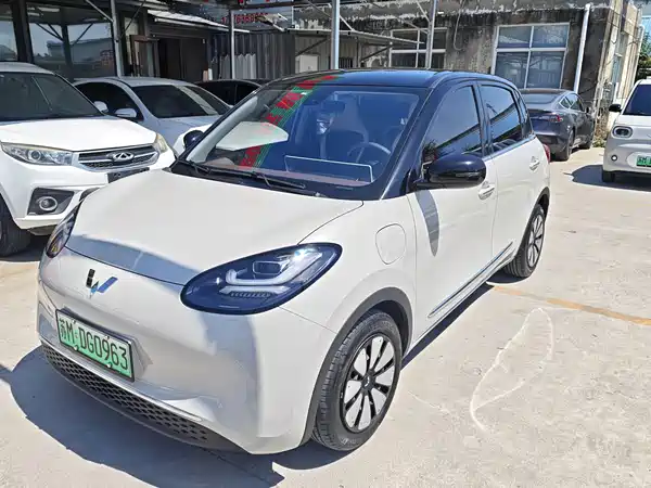 Wuling Bingo 2024