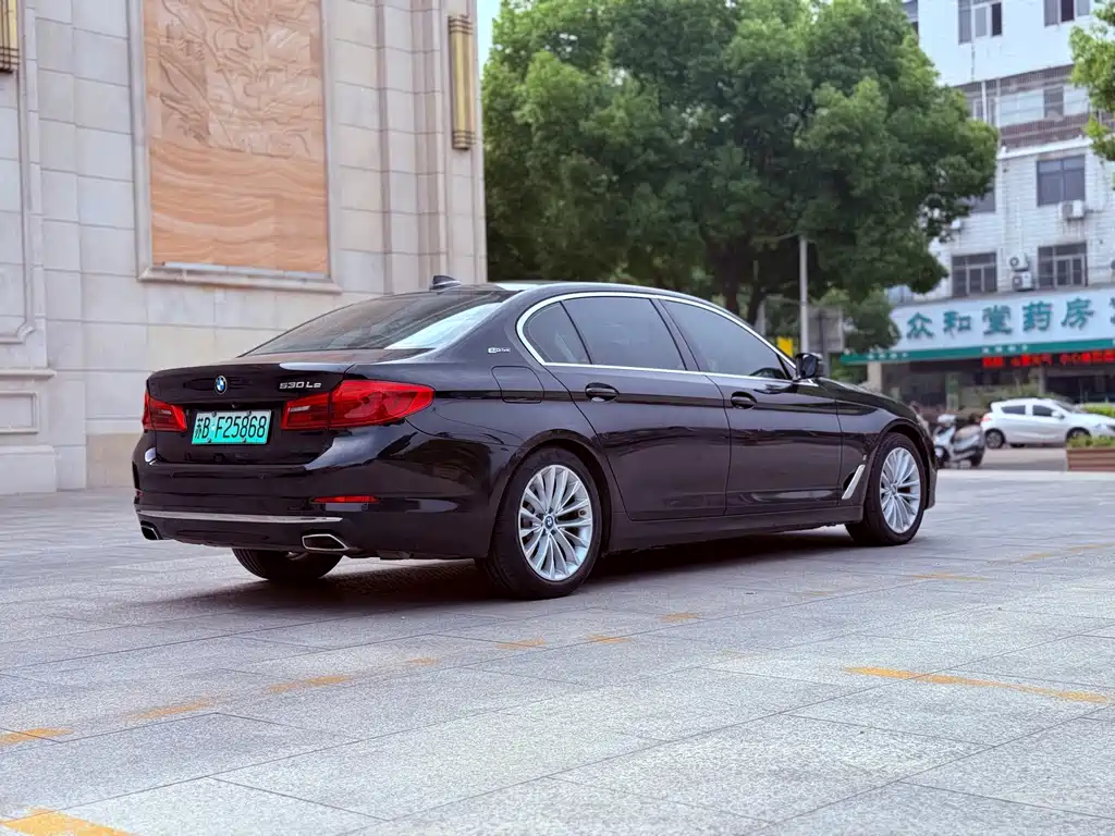 BMW 5 Series New Energy 2019