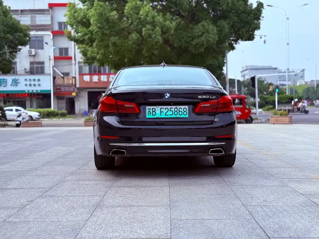 BMW 5 Series New Energy 2019