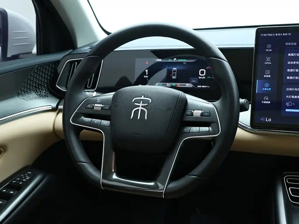 BYD Song Pro New Energy 2024 — фото 15