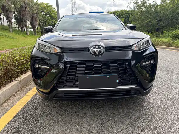 Toyota Wildlander 2022