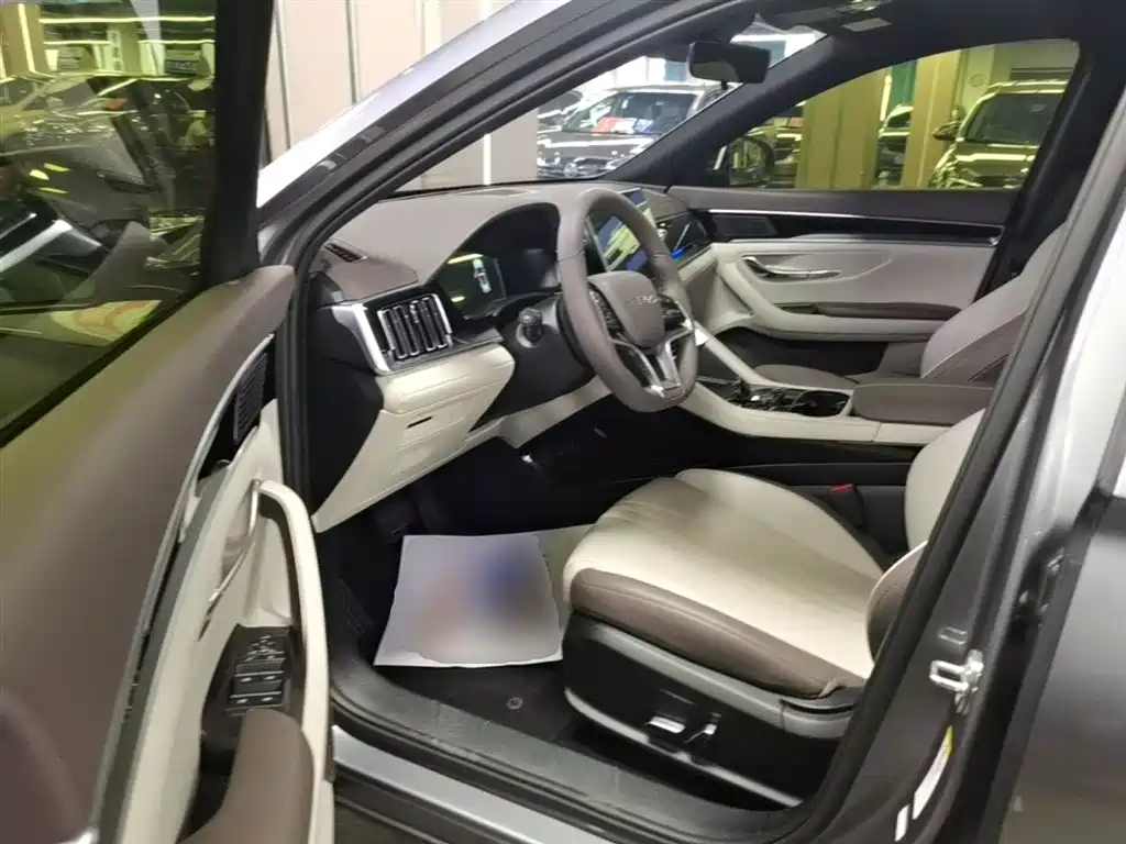 BYD Song PLUS New Energy 2025 — фото 16